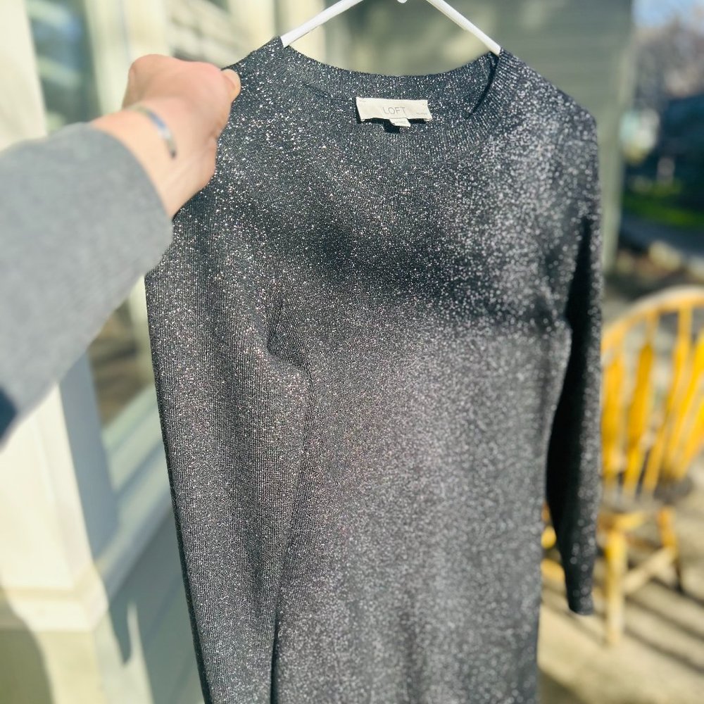 Loft Sparkly Dress